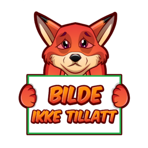 bilde ikke tillatt 300x300 1