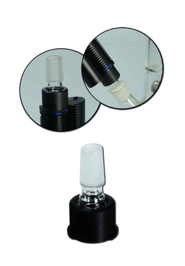 Bong Adapter Crafty / Mighty – SG19