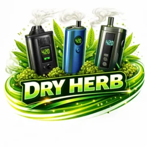 Dry herb vaporizer