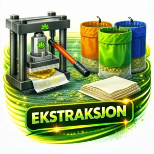 Ekstraksjon